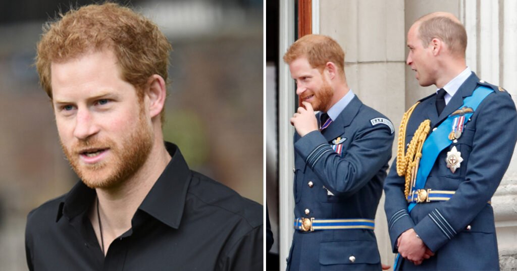 Prince Harry gave blunt rejection to meeting with Prince William, claims book