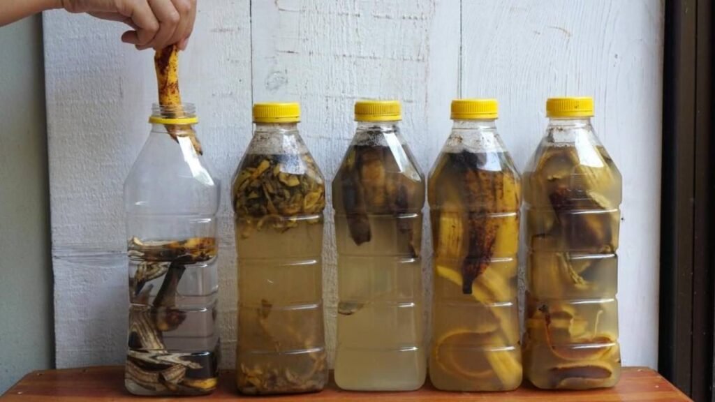 Discover the Hidden Uses of Banana Peels