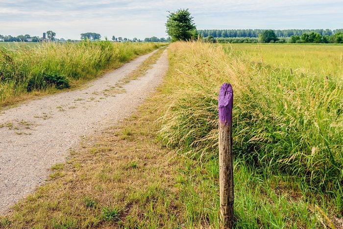 Purple Fence Meaning; Purple Fence Laws