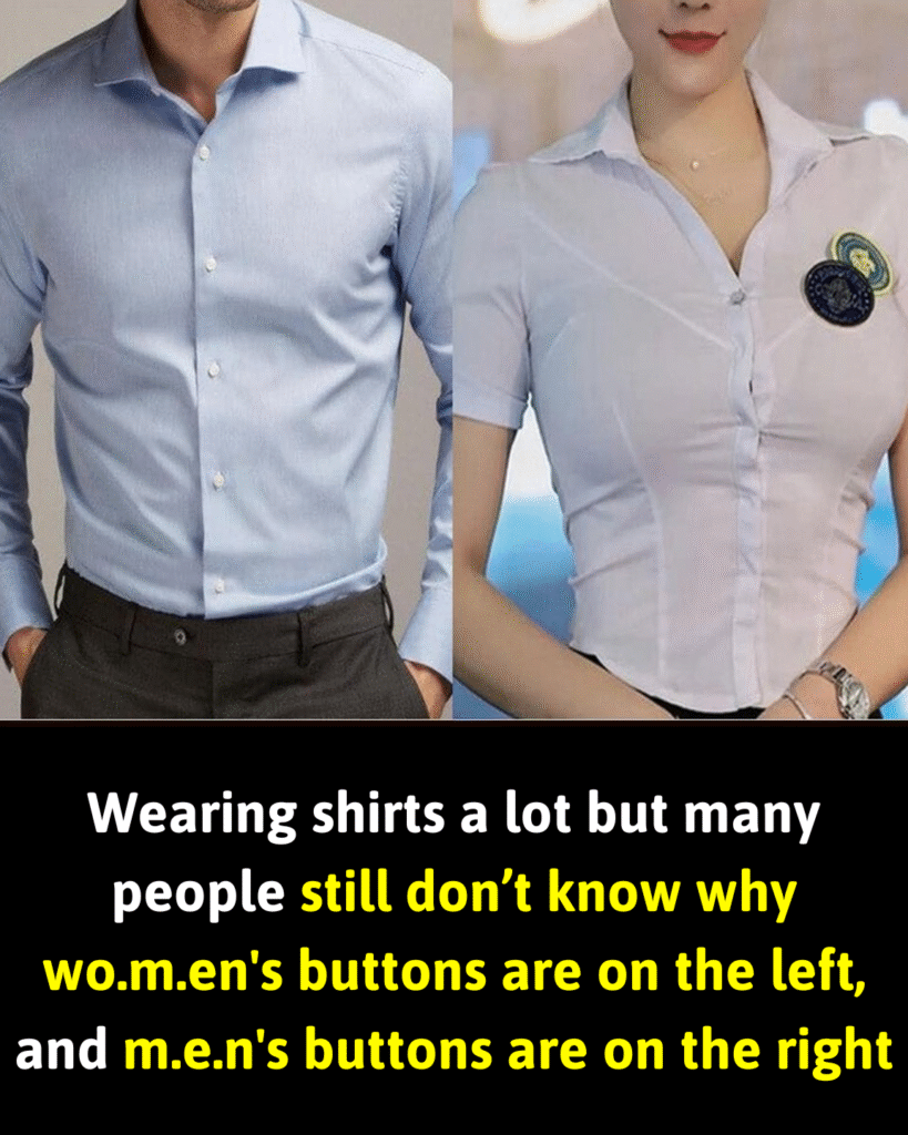 There’s Actually a Rule, and Now I Finally Understand the Reason