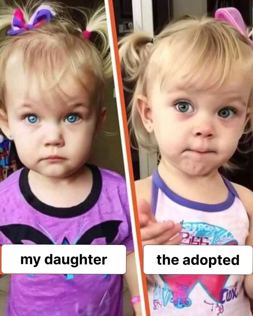 Finding Light Again: Eleanor’s Heartfelt Journey to Adoption