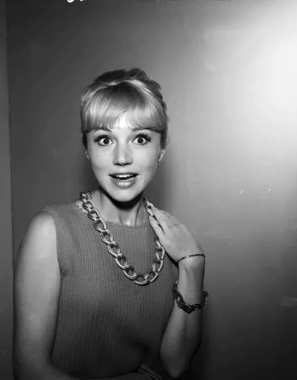 Tragic End for Iconic Actress After Unexpected Accident