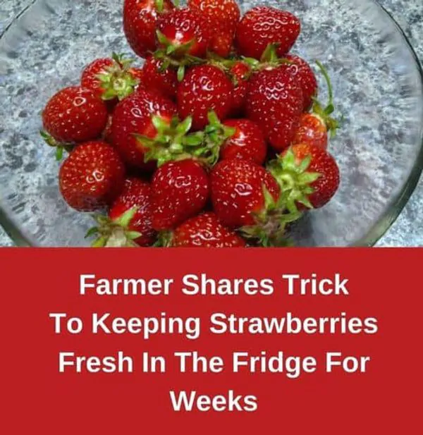How To Keep Your Strawberries Fresh for Longer - iadun